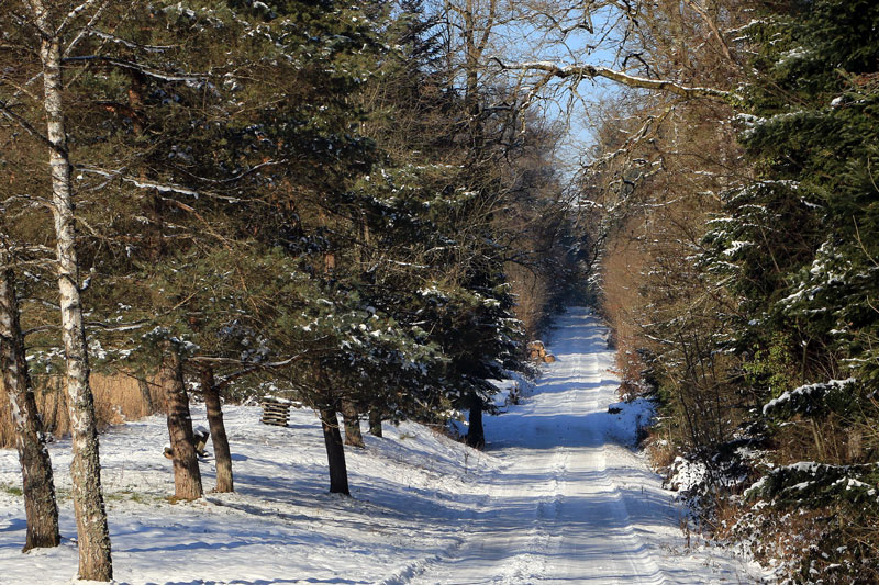 chemin 01 fatre 3647 800px