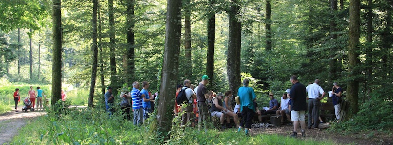 marche de l'été EEMC